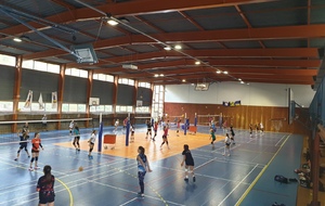 CRE M17 FEVRIER 2026