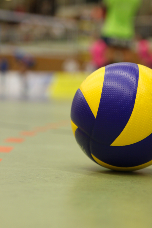 Formation CAVB CD13